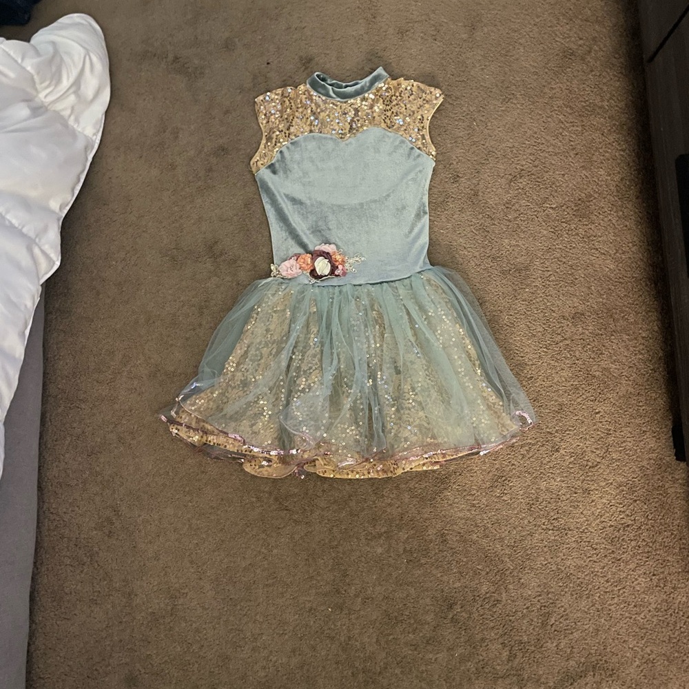 Revolution sage Green and Gold Dance Costume